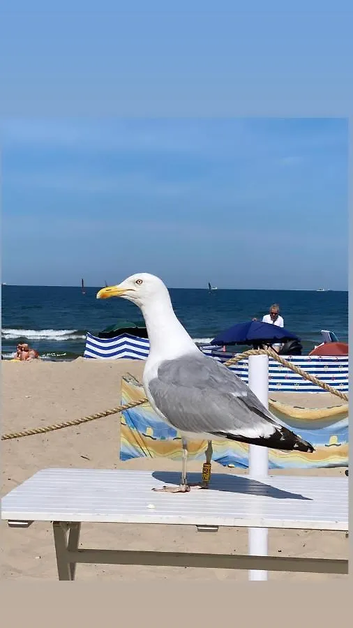 Monte 27 Lux Apartments Sopot